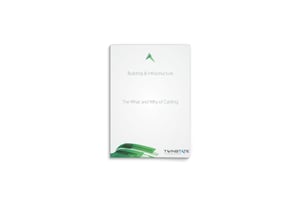 Twinstate Technologies ebook: